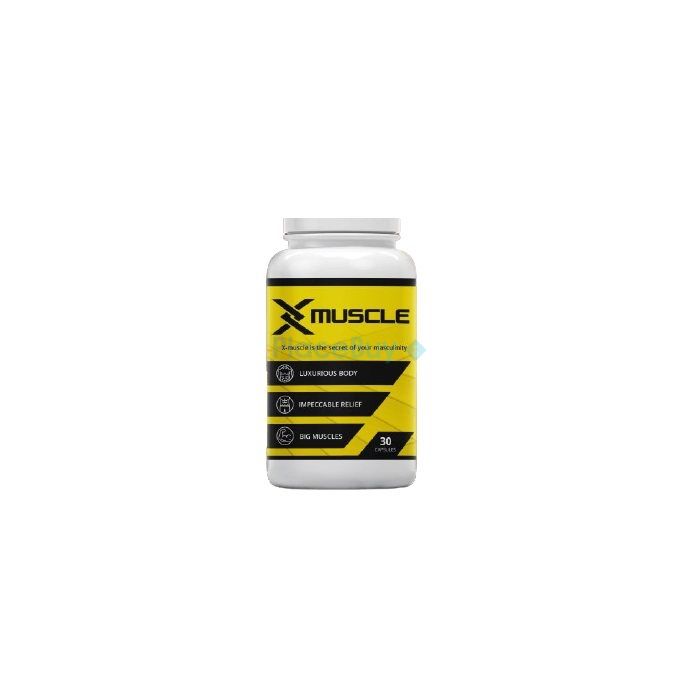 X-Muscle for muscle building