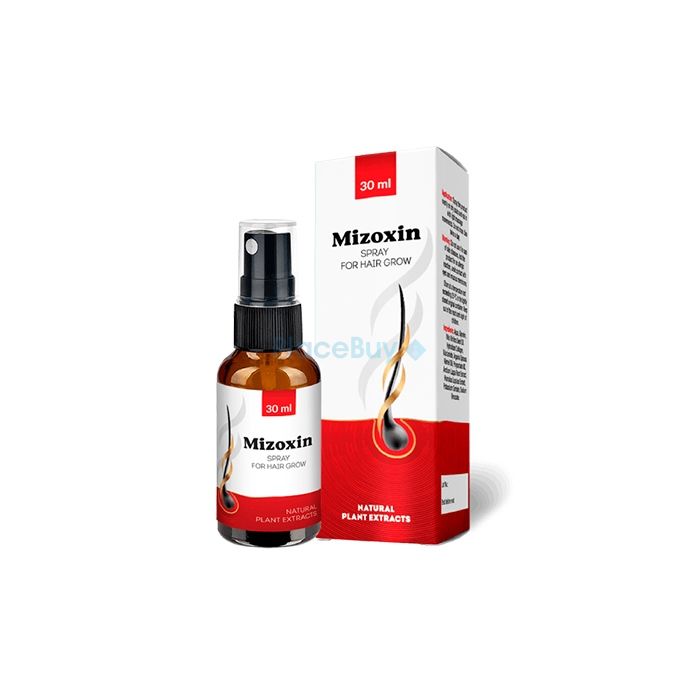 Mizoxin producto de restauración del cabello