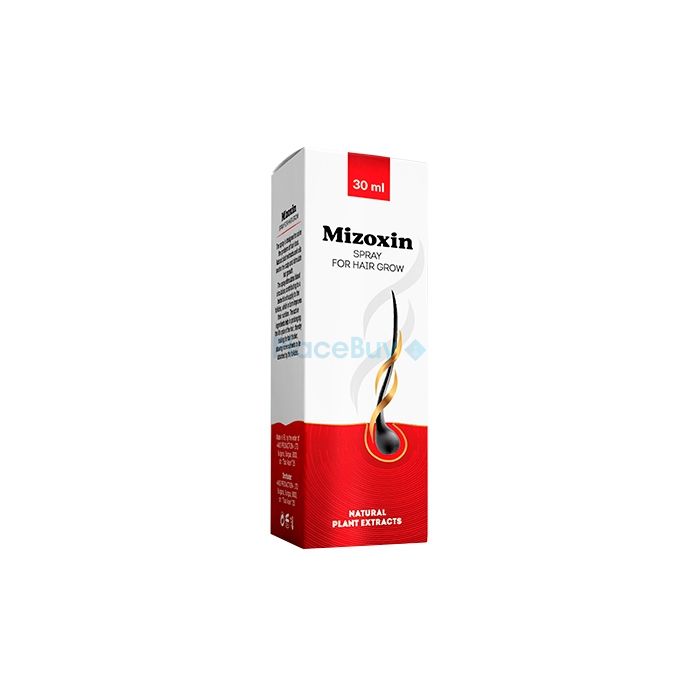 Mizoxin hair restoration product